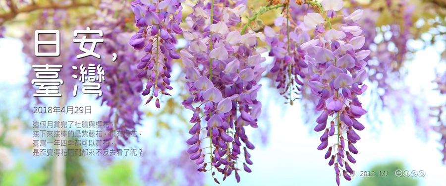 365 日安，臺灣之2018年4月29日